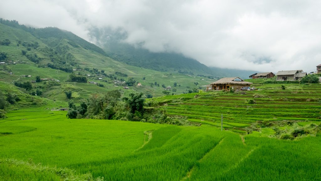 Cat Cat village, things to do in sapa, Sapa village, home stay in sapa