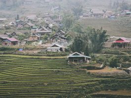 Lao chai village, Hmong house on stilts, homestay in sapa