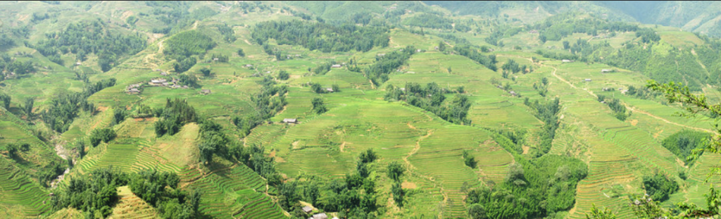 Y Linh Ho village, sapa vilages, sapa trekking, sapa trekk, homestay in sapa