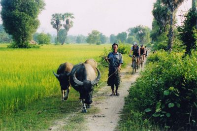 Cycling Through Luang Prabang Countryside