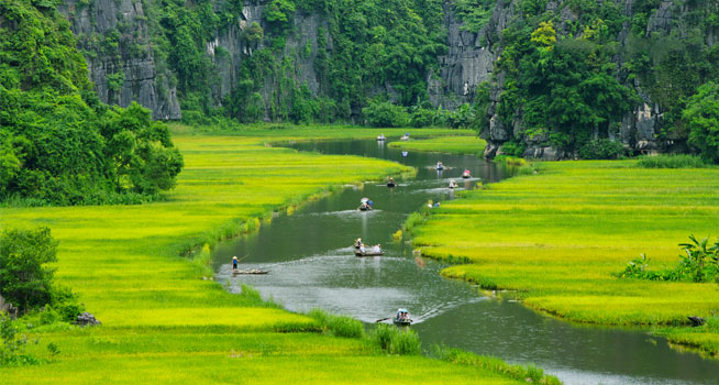 Vietnam Tours