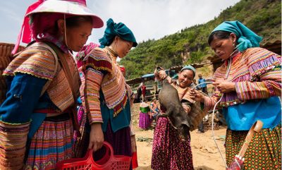 Sapa market, Muong Hum market, tour to sapa, sapa travel, sapa women