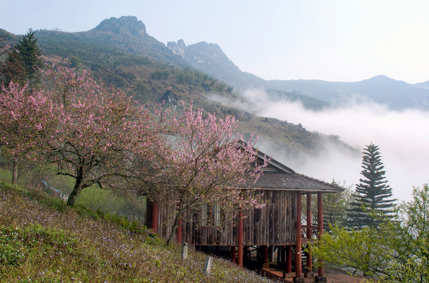 Sapa travel, sapa tour, tours to sapa sapa spring
