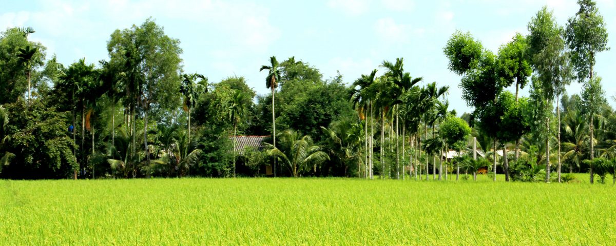 Mekong Delta - Vietnam