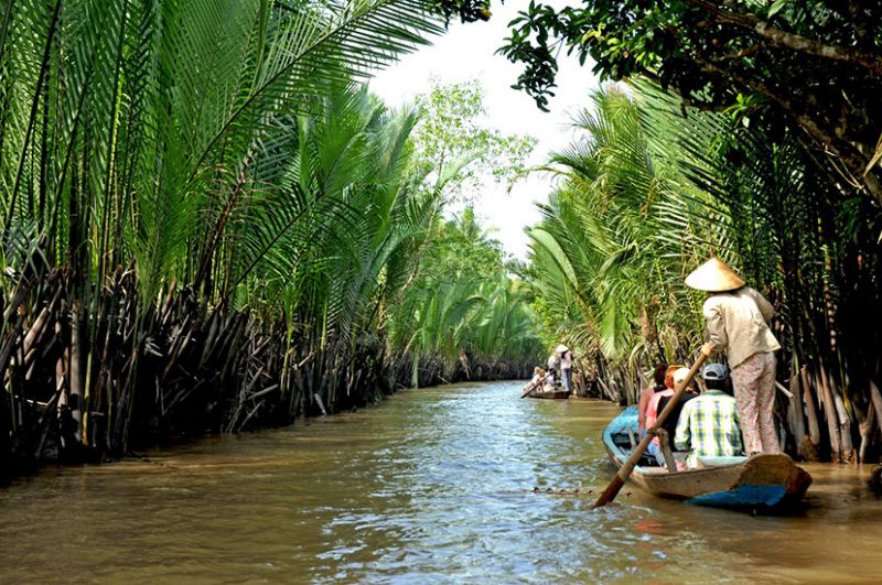 Rowing boat through coconut canal - Ben Tre