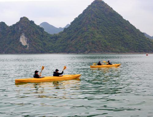 Lan Ha Bay – Luxury Cruise 01 Day