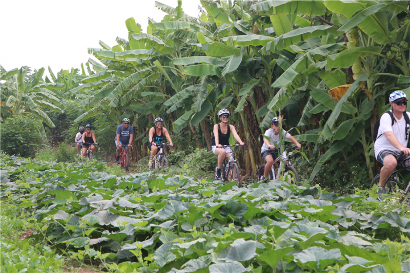 Hanoi cycling tour full day