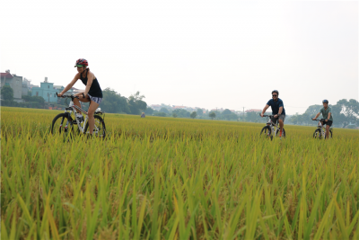 Hanoi cycling tour